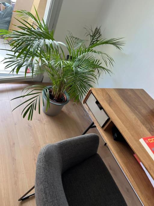 Le Petit Bruxelles Au Calme Apartment Toulouse Ngoại thất bức ảnh